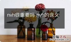 nvh很重要吗 nvh的含义