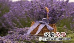 原始农业兴起和发展的重要标志 原始农业兴起和发展的重要标志及意义
