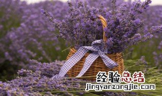 原始农业兴起和发展的重要标志 原始农业兴起和发展的重要标志及意义