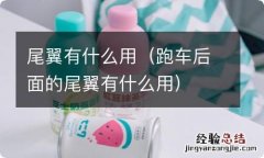 跑车后面的尾翼有什么用 尾翼有什么用