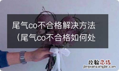 尾气co不合格如何处理 尾气co不合格解决方法