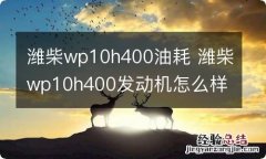 潍柴wp10h400油耗 潍柴wp10h400发动机怎么样