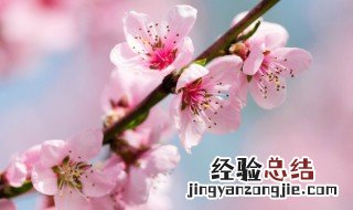 立春句子发朋友圈 适合立春发朋友圈的句子