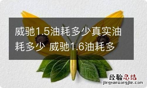 威驰1.5油耗多少真实油耗多少 威驰1.6油耗多少真实油耗