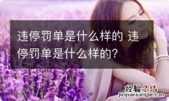 违停罚单是什么样的 违停罚单是什么样的?