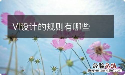 VI设计的规则有哪些