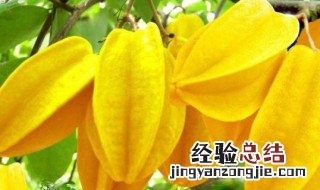 杨桃的味道是什么味 杨桃的味道介绍