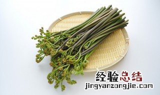 鲜蕨菜怎么去除苦味 鲜蕨菜怎么去除苦味视频