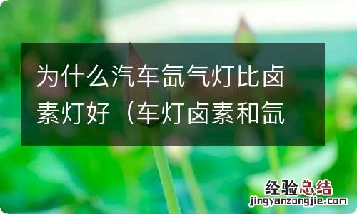 车灯卤素和氙气哪个好 为什么汽车氙气灯比卤素灯好
