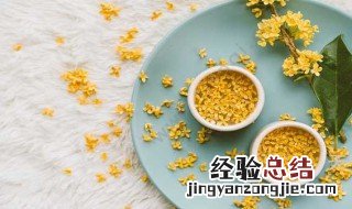 桂花如何挑选 桂花怎么选择