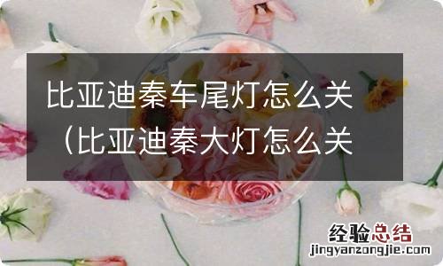 比亚迪秦大灯怎么关 比亚迪秦车尾灯怎么关