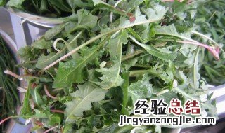 婆婆丁祛斑的方法 婆婆丁怎么祛斑