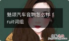 魅颂汽车音响怎么样 fruit词组