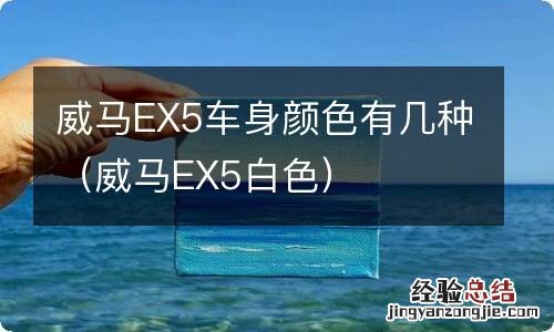 威马EX5白色 威马EX5车身颜色有几种