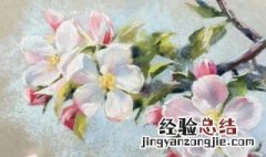 色粉画用定画液保存可以吗 色粉画保存方法