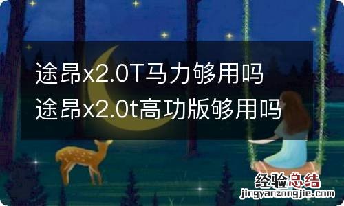 途昂x2.0T马力够用吗 途昂x2.0t高功版够用吗