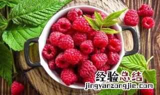 树莓怎么种 蓝莓树怎么种植方法