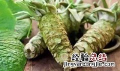 辣根的栽培技术是什么 辣根的种植方法