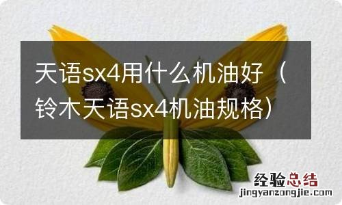 铃木天语sx4机油规格 天语sx4用什么机油好