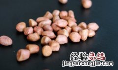 熟花生米怎么保存好 熟花生米保存方法