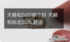 天籁和508l哪个好 天籁和标志508L舒适