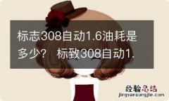 标志308自动1.6油耗是多少？ 标致308自动1.6油耗