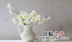 鲜花插水里怎么保鲜 怎么把鲜花插水保存