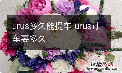 urus多久能提车 urus订车要多久