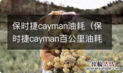 保时捷cayman百公里油耗 保时捷cayman油耗