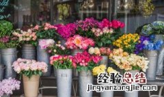 红花荷怎么养 红花荷花期多长