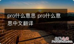 pro什么意思 pro什么意思中文翻译