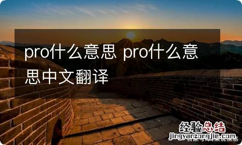 pro什么意思 pro什么意思中文翻译