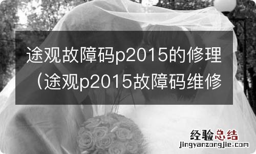 途观p2015故障码维修方法 途观故障码p2015的修理