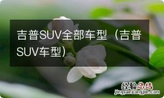 吉普SUV车型 吉普SUV全部车型