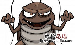 柜子里面有蟑螂怎么办 柜子里有很多蟑螂怎么办