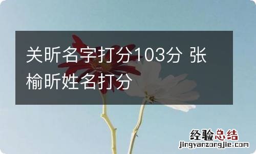 关昕名字打分103分 张榆昕姓名打分