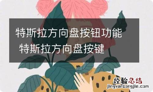 特斯拉方向盘按钮功能 特斯拉方向盘按键