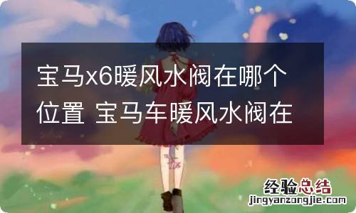 宝马x6暖风水阀在哪个位置 宝马车暖风水阀在什么位置