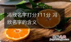 冯欣名字打分111分 冯欣名字的含义