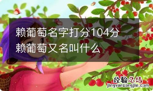 赖葡萄名字打分104分 赖葡萄又名叫什么