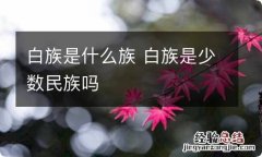 白族是什么族 白族是少数民族吗