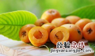 地枇杷和枇杷的区别是什么 地枇杷和枇杷的区别