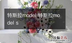 特斯拉model 特斯拉model s