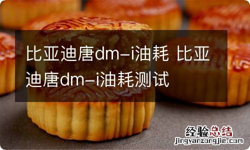 比亚迪唐dm-i油耗 比亚迪唐dm-i油耗测试