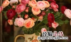 玫瑰花水养怎么养才不会枯萎 玫瑰怎么养在瓶中