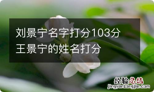 刘景宁名字打分103分 王景宁的姓名打分