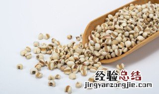 大薏米和小薏米的区别是什么 大薏米和小薏米的区别介绍