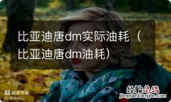 比亚迪唐dm油耗 比亚迪唐dm实际油耗