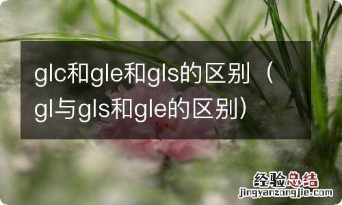 gl与gls和gle的区别 glc和gle和gls的区别