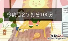 徐鹤尼名字打分100分